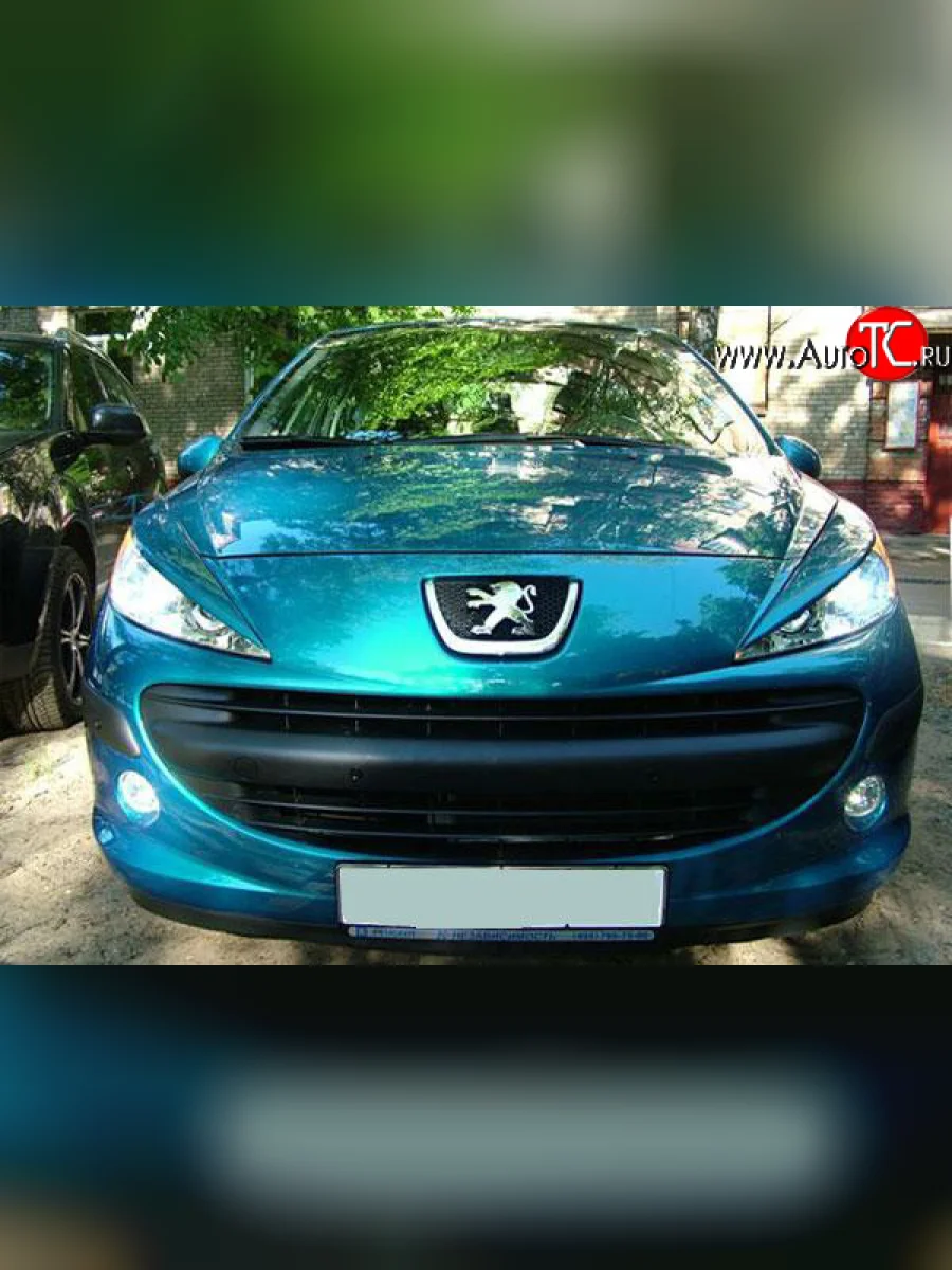 Реснички FAST на Peugeot 207 WC хэтчбэк 5 дв. дорестайлинг (2006-2009)  с доставкой в г. Пермь