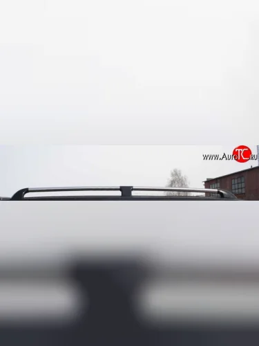 Рейлинги Ралекс-Тюнинг ГАЗ ГАЗель ( 2705,  3221,  3221,Бизнес,  2705,Бизнес) - Соболь  2752