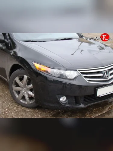 Реснички Evolution Honda Accord  8 CU (2008-2011) седан дорестайлинг