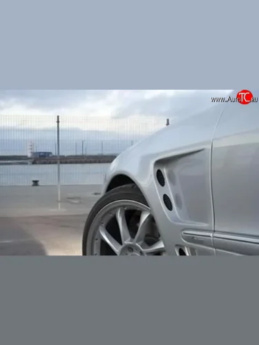 Передние крылья Lorinser F-01 Mercedes-Benz S class W220 (1998-2005)