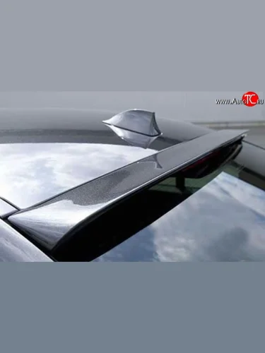 Козырёк LORINSER на заднее лобовое стекло автомобиля Mercedes-Benz S class 5 W221 седан дорестайлинг (2005-2009)