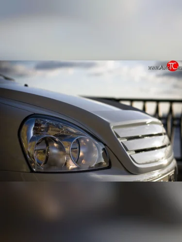 Накладка капота Elite Лада ВАЗ Приора ( 2170,  2171,  2172,  21728) (2007-2018) седан дорестайлинг, универсал дорестайлинг , хэтчбек дорестайлинг, купе дорестайлинг, купе рестайлинг, седан рестайлинг, универсал рестайлинг, хэтчбек рестайлин