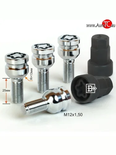 Колёсный болт длиной 25 мм Вектор M12 1.5 25 секретка (комплект) (пос. место: сфера) 