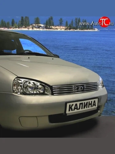 Декоративная вставка решетки радиатора Souz-96 Лада ВАЗ Калина ( 1118,  1117,  1119) - Калина Спорт  1119