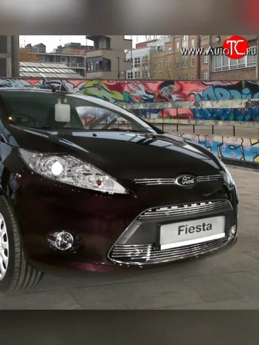 Декоративные вставки воздухозаборника Souz-96 Ford Fiesta 6 хэтчбэк 3 дв. дорестайлинг (2008-2013)