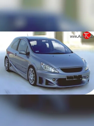 Комплект арок крыльев Sport Peugeot 307 ( универсал,  хэтчбэк 3 дв.) (2001-2005) дорестайлинг