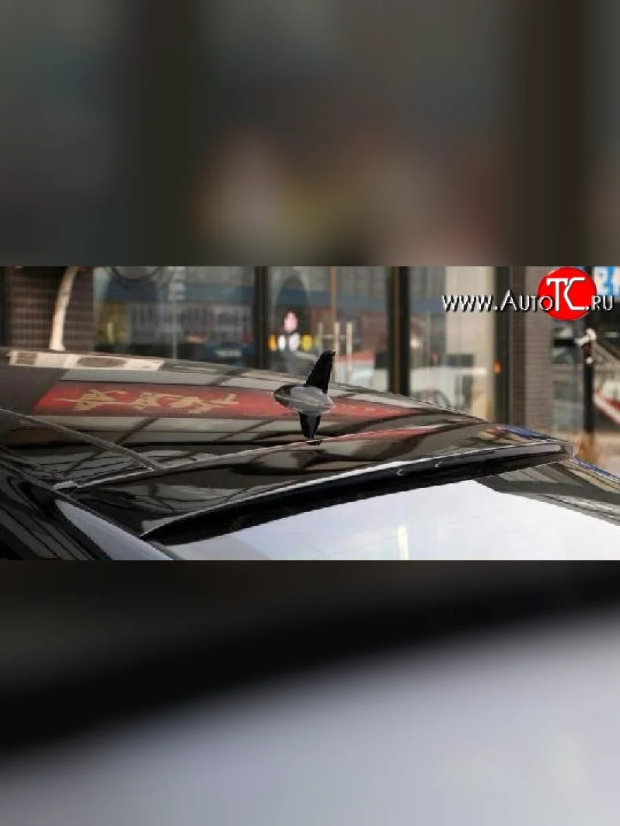 Козырёк на заднее лобовое стекло Lorinser V2 Mercedes-Benz S class 5 W221 седан дорестайлинг (2005-2009)  в Самаре Самарской области