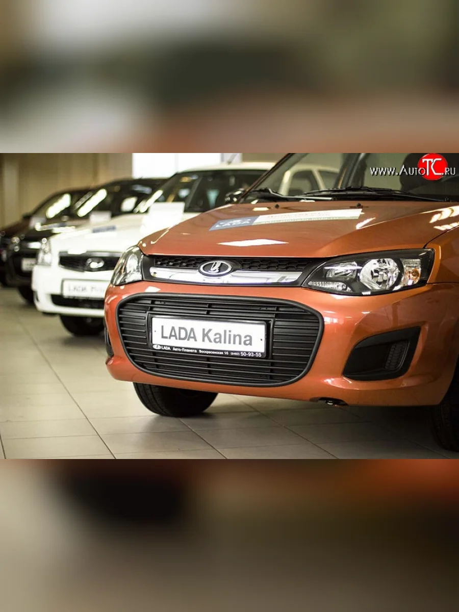 Зимняя заглушка воздухозаборника переднего бампера Артформ Лада ВАЗ Калина 2192 хэтчбек (2013-2018)  в Самаре Самарской области