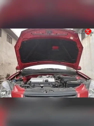 Отделка капота M-VRS KIA Rio 2 JB дорестайлинг седан (2005-2009)