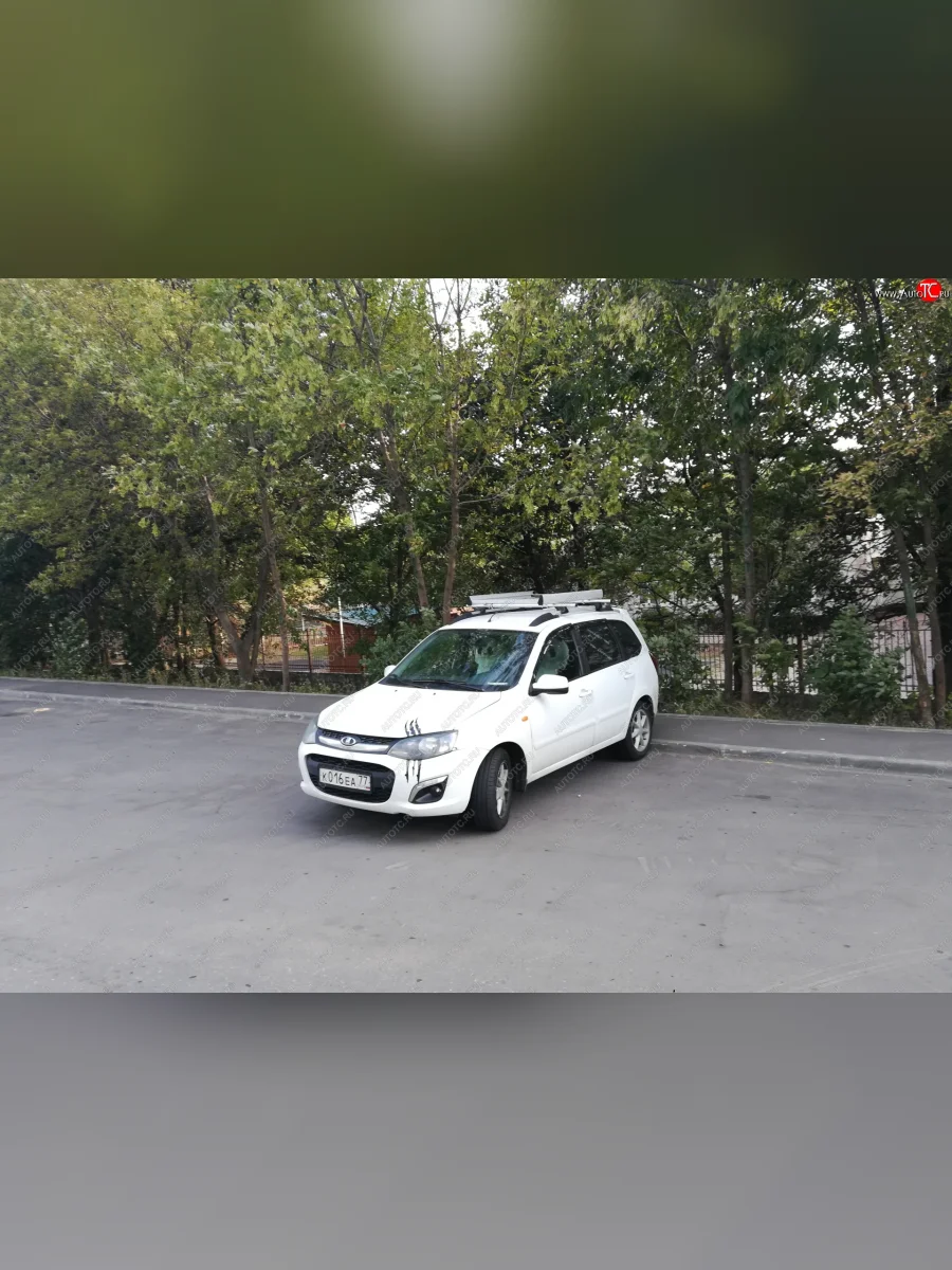 Багажная корзина Металл Дизайн Mitsubishi Debonair (1970-1973) (серебристая)