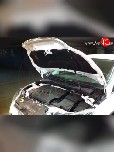 Упор капота Sport Ford Focus  3 (2010-2019) универсал дорестайлинг, хэтчбэк дорестайлинг, седан дорестайлинг, седан рестайлинг, универсал рестайлинг, хэтчбэк рестайлинг