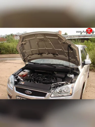 Упор капота Sport Ford Focus  2 (2004-2008)  седан дорестайлинг, универсал дорестайлинг, хэтчбэк 3 дв. дорестайлинг, хэтчбэк 5 дв. дорестайлинг