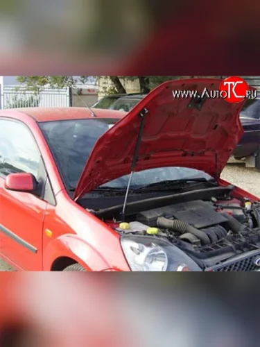 Упор капота Sport (с кронштейном) Ford Fiesta  5 (2001-2008) хэтчбэк 5 дв. дорестайлинг, хэтчбэк 5 дв. рестайлинг