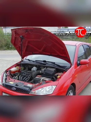 Упор капота Sport Ford Focus ( 1,  3) (1998-2019) седан дорестайлинг, универсал дорестайлинг, хэтчбэк 3 дв. дорестайлинг, хэтчбэк 5 дв. дорестайлинг, седан рестайлинг, универсал рестайлинг, хэтчбэк 3 дв. рестайлинг, хэтчбэк 5 дв. рестайлинг