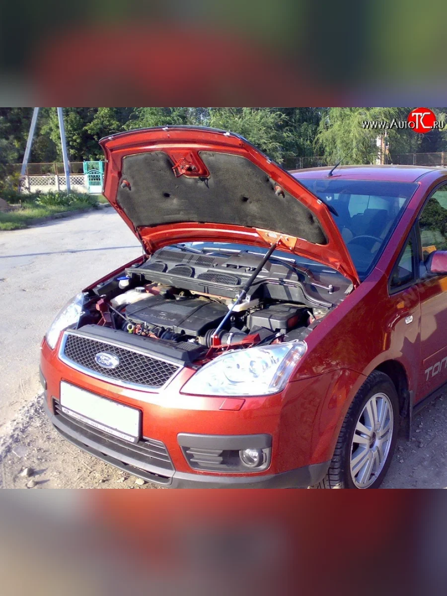Упор капота Sport Ford C-max Mk1 рестайлинг (2007-2010)  с доставкой в г. Керчь