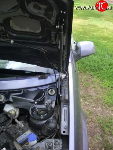 Упор капота Sport Ford Fusion  1 (2002-2012) хэтчбэк дорестайлинг,  рестайлинг, хэтчбэк