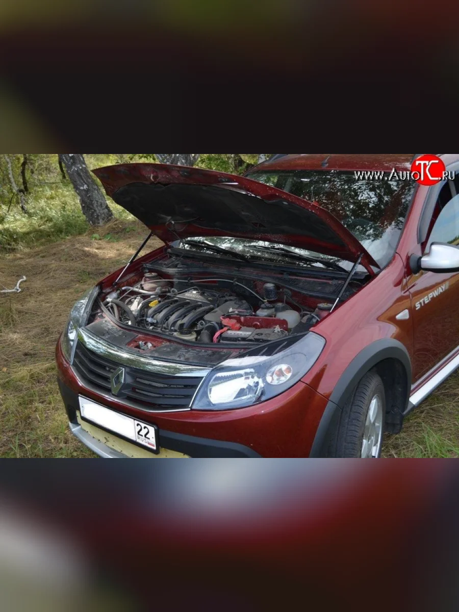 Упор капота Sport. Renault Sandero Stepway 1 (2010-2014)  в Керчи Республика Крым