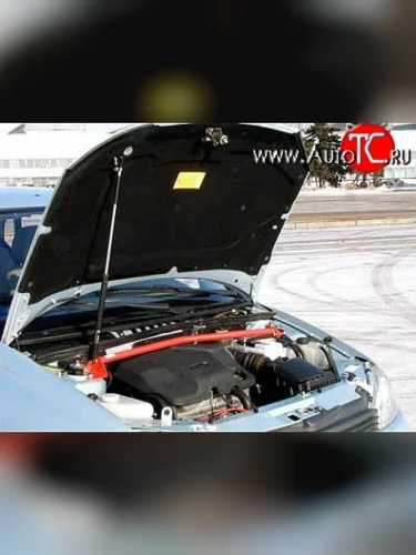 Упор капота Sport Лада ВАЗ Калина ( 1118,  1117,  1119) - Калина Спорт  1119