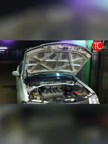 Упор капота Sport Datsun mi-DO (2014-2021), Datsun on-DO (2014-2021), ВИС 2349  бортовой (2012-2018), Лада ВАЗ Гранта ( 1 2191,  2190) (2011-2017), Лада ВАЗ Гранта Спорт ( 2191,  2190) (2023-2025), Лада ВАЗ Калина ( 2192,  2194) (2013-2018), Лада ВАЗ Калина Спорт  2192 (2014-2018)