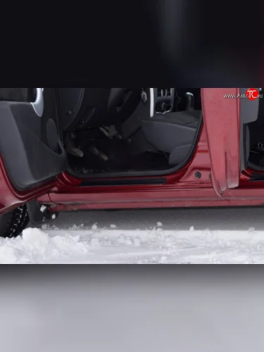 Накладки на порожки в салон Kart RS Renault Sandero 1 (2009-2014)