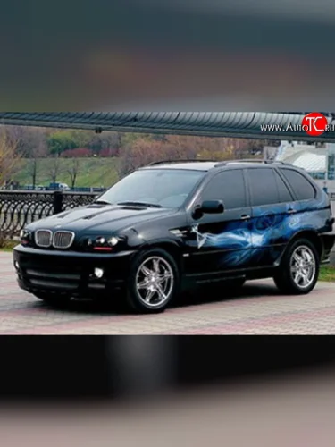 Комплект противотуманных фар в передний бампер Тарантул на BMW X5 E53 дорестайлинг (1999-2003)