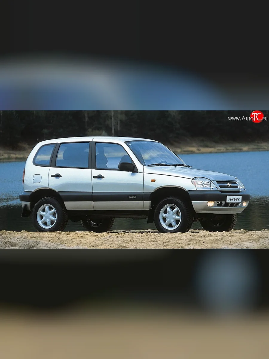 Накладки на двери (молдинги) Стандарт Chevrolet Niva 2123 дорестайлинг (2002-2008) (Неокрашенные)  в Перми Пермском крае