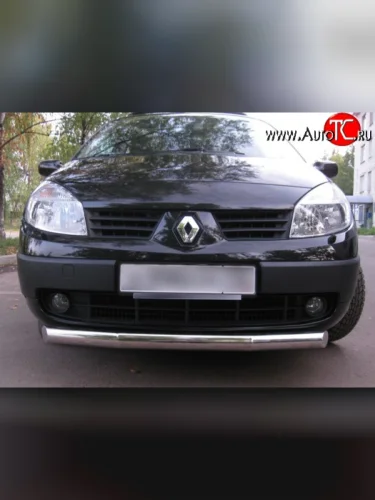 Одинарная защита переднего бампера Russtal диаметром 76 мм Renault Scenic 2 (2003-2009)