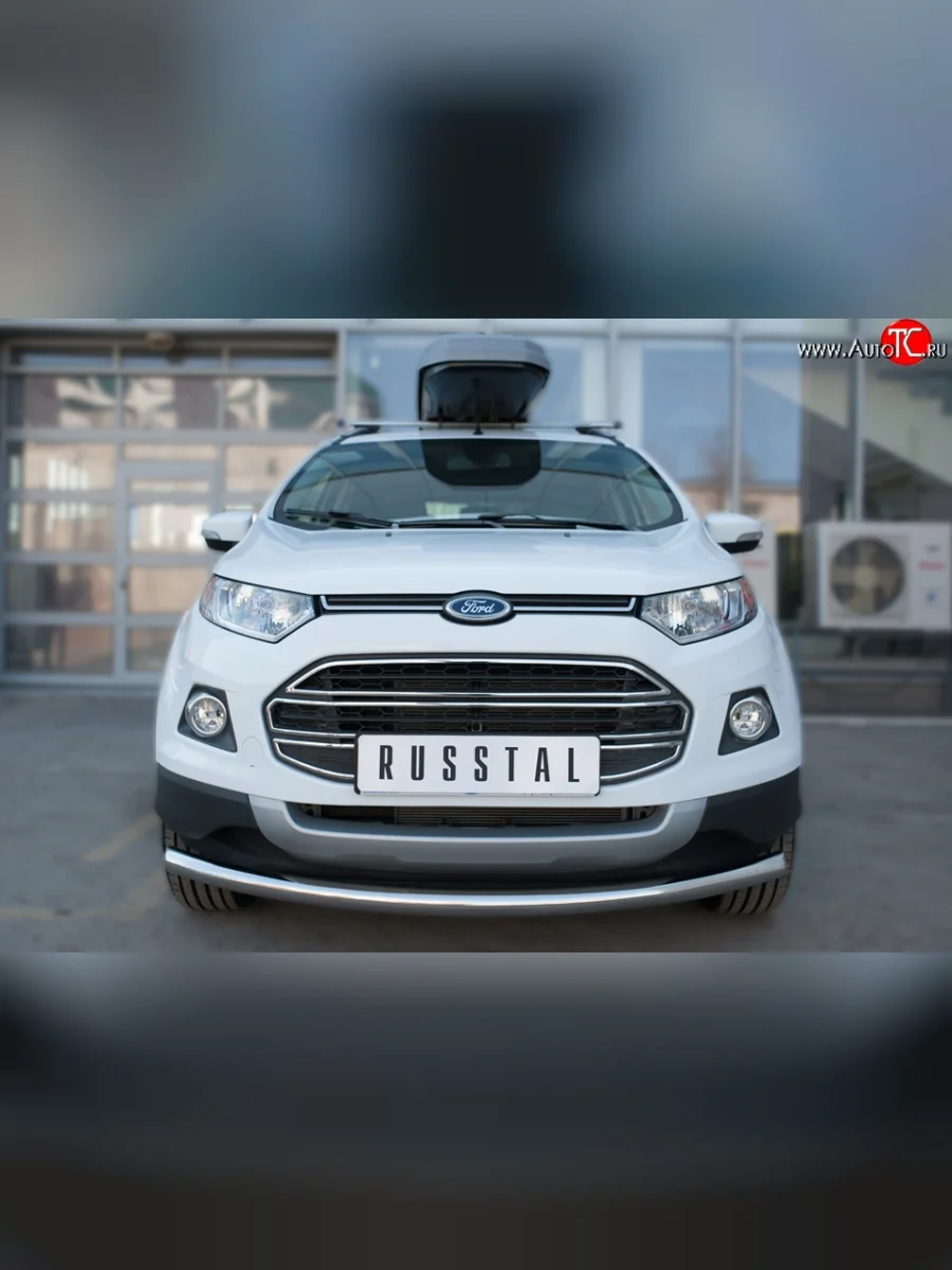 Одинарная защита переднего бампера диаметром 63 мм SLITKOFF Ford EcoSport дорестайлинг (2013-2019)  в Самаре Самарской области
