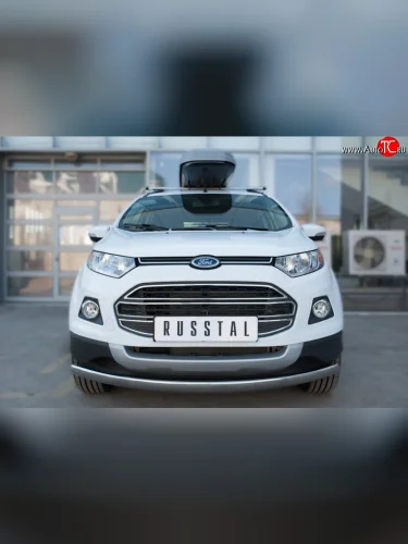 Защита переднего бампера (Ø75х42 мм, нержавейка) Russtal Ford EcoSport дорестайлинг (2013-2019)
