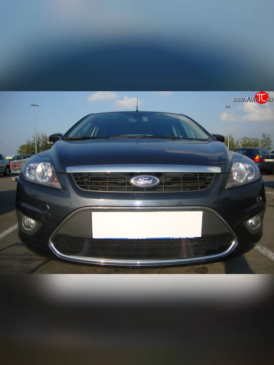 Сетка на бампер Russtal (черная) Ford Focus 2 хэтчбэк 3 дв. рестайлинг (2007-2011)  с доставкой в г. Керчь