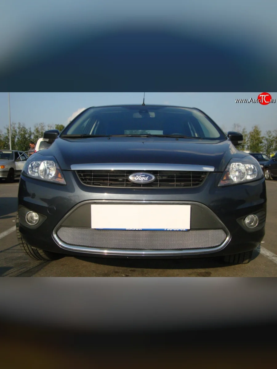 Сетка на бампер Russtal (хром) Ford Focus 2 хэтчбэк 3 дв. рестайлинг (2007-2011)  с доставкой в г. Керчь