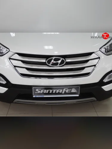 Сетка на бампер Russtal (черная) Hyundai Santa Fe DM дорестайлинг (2012-2016)