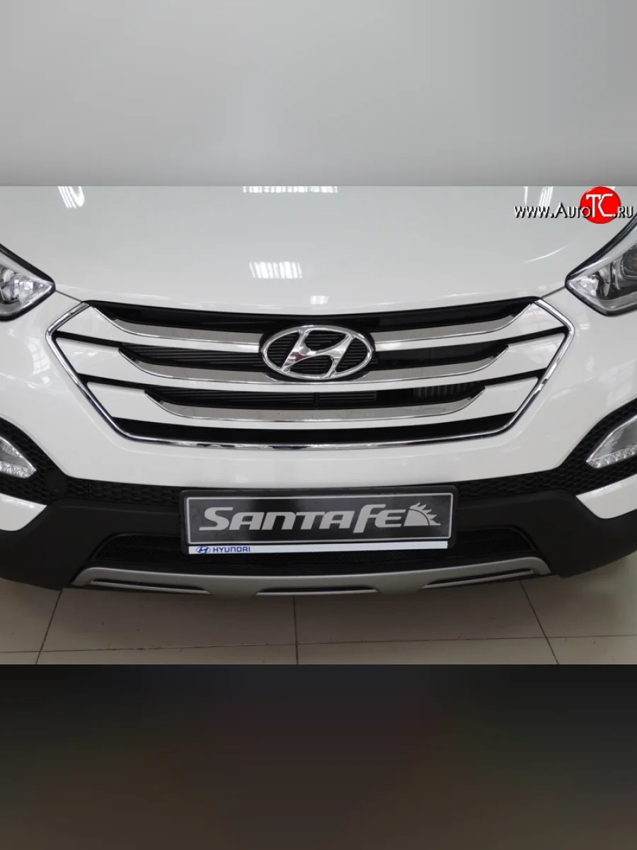 Сетка на бампер Russtal (черная) Hyundai Santa Fe DM дорестайлинг (2012-2016)  в Самаре Самарской области