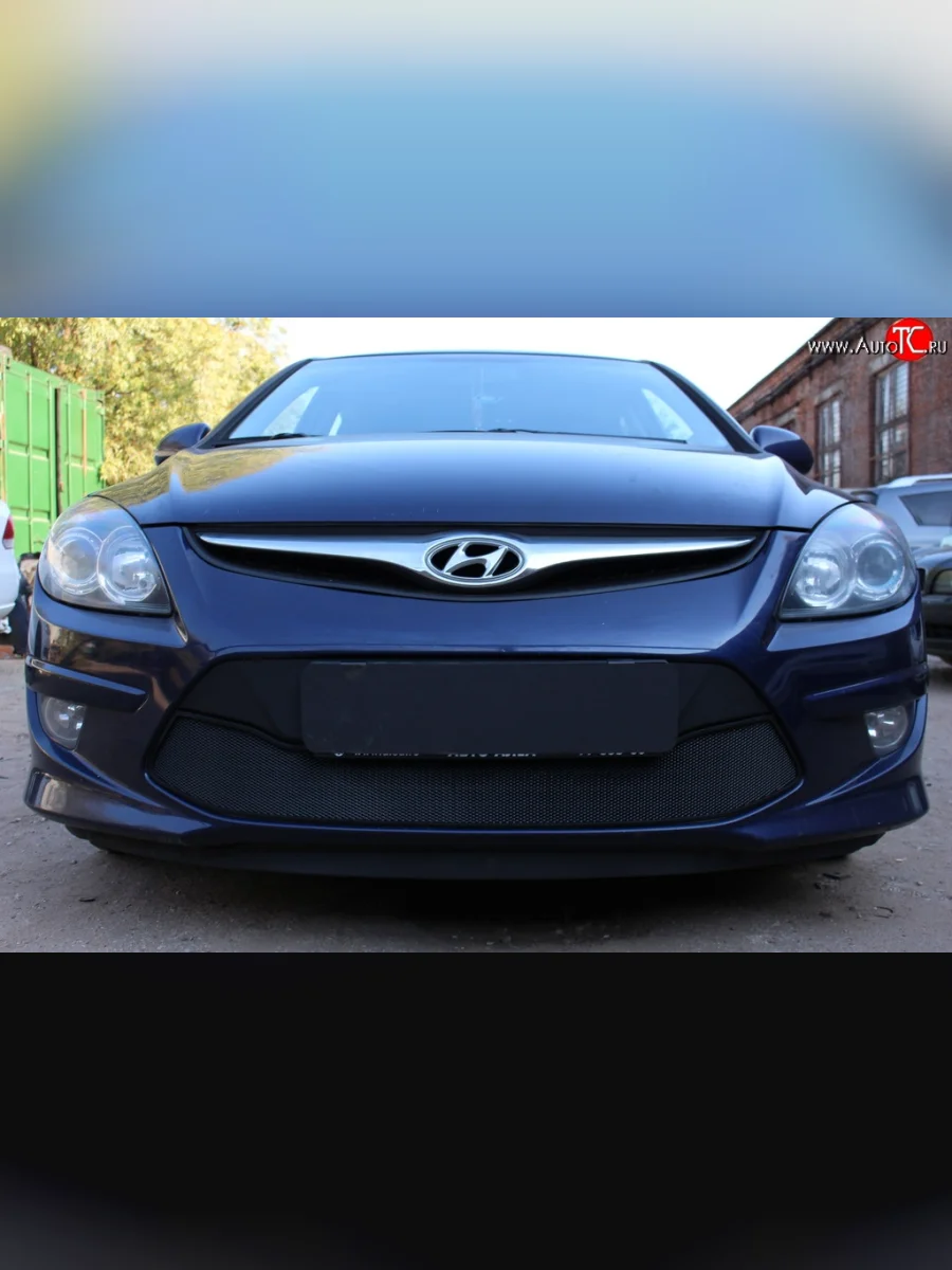 Сетка на бампер Russtal (черная) Hyundai I30 FD хэтчбэк 5 дв. рестайлинг (2010-2012)  в Воронеже Воронежской области