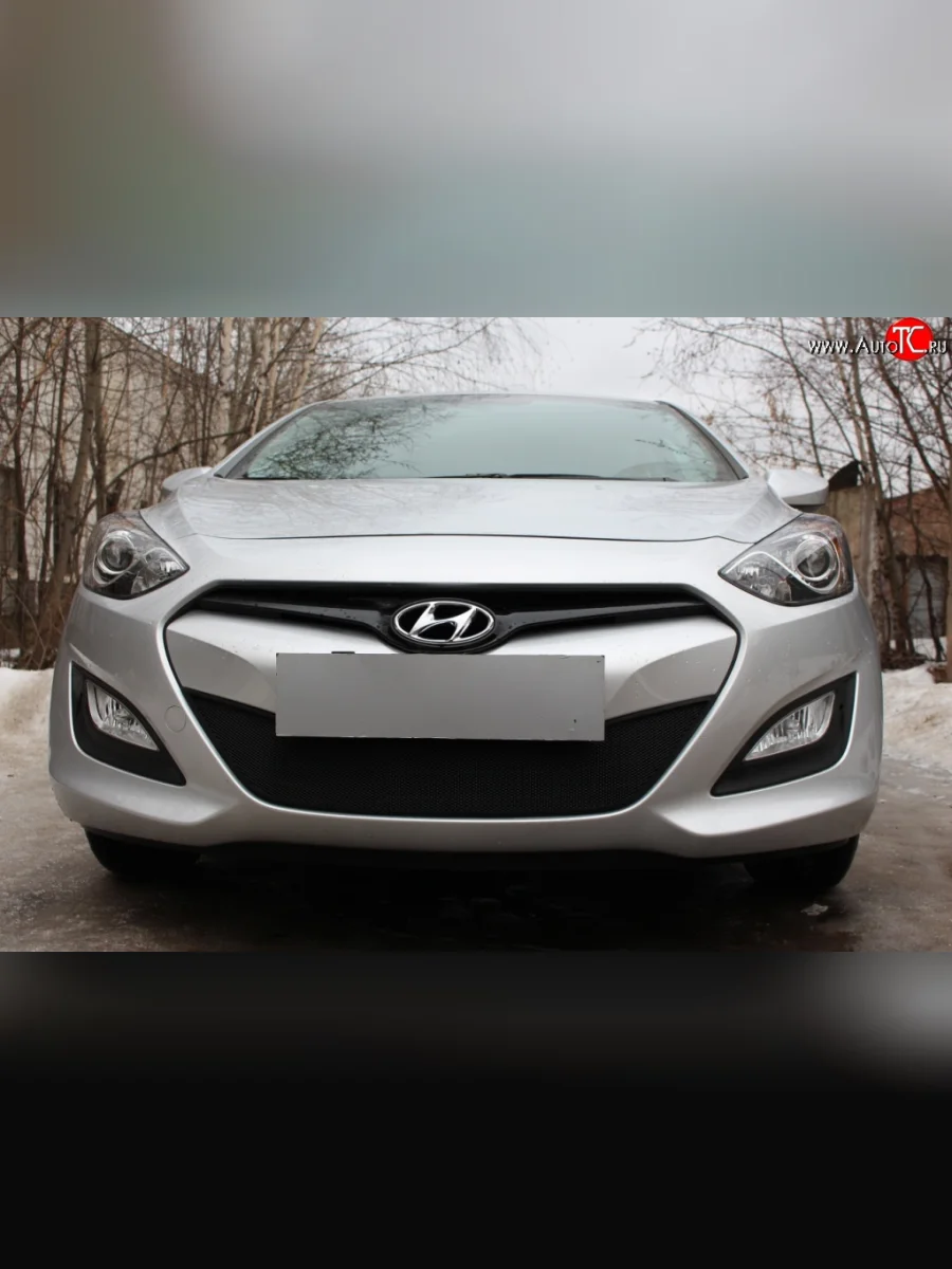 Сетка на бампер Russtal (черная) Hyundai I30 2 GD дорестайлинг, хэтчбэк 5 дв. (2011-2015)  в Самаре Самарской области