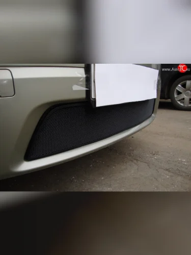 Сетка на бампер Russtal (черная) Renault Sandero 1 (2009-2014)