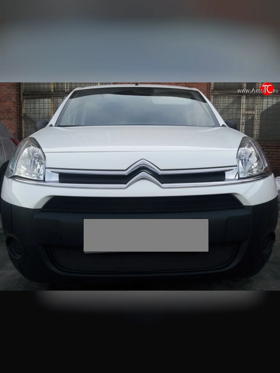 Сетка на бампер (рестайлинг) Russtal (черная) CITROEN Berlingo B9 дорестайлинг (2008-2016)  с доставкой в г. Керчь