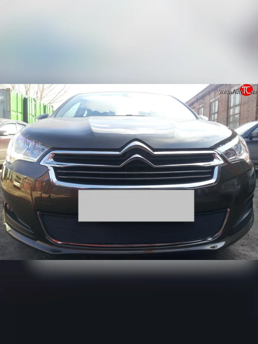 Сетка на бампер (седан) Russtal (черная) CITROEN C4 B7 хэтчбэк 5 дв. (2011-2018)  с доставкой в г. Керчь
