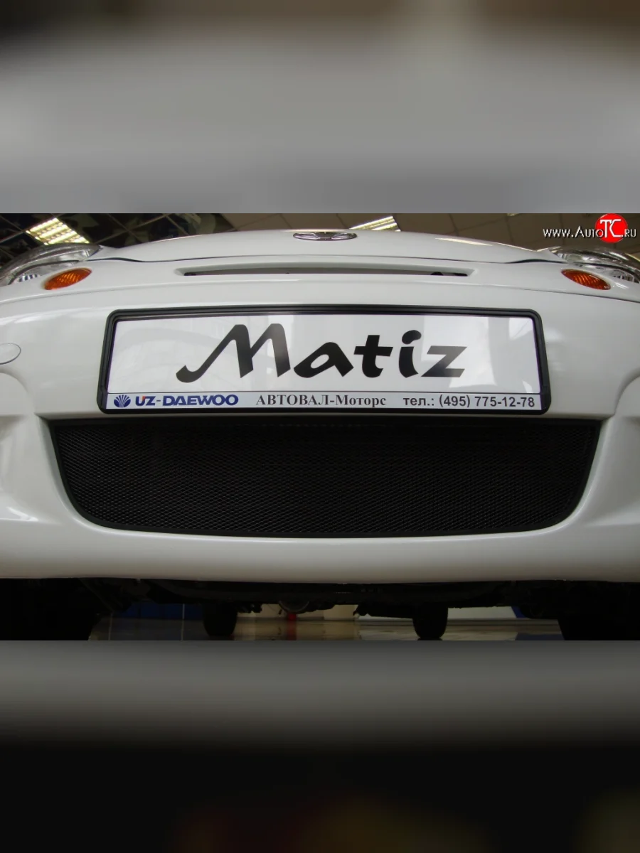 Сетка на бампер (рестайлинг) Russtal (черная) Daewoo Matiz M100 дорестайлинг (1998-2000)  с доставкой в г. Керчь