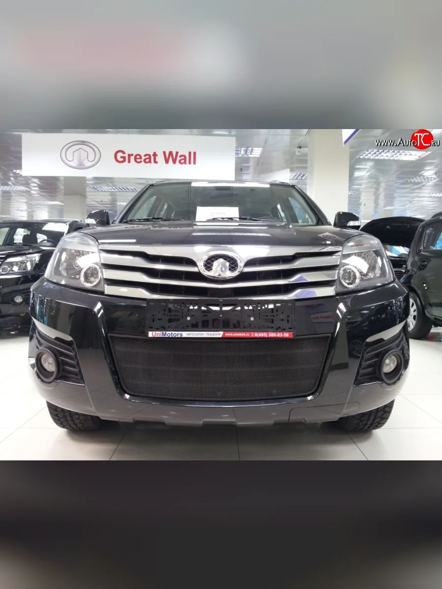 Сетка на бампер Russtal (черная) Great Wall Hover H3  дорестайлинг (2010-2014)  с доставкой в г. Пермь