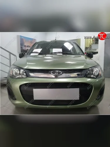 Сетка на бампер Russtal (черная) Лада ВАЗ Калина 2192 хэтчбек (2013-2018)