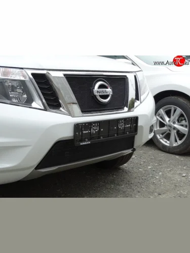 Сетка в решетку радиатора Russtal (черная) Nissan Terrano D10 рестайлинг (2016-2022)