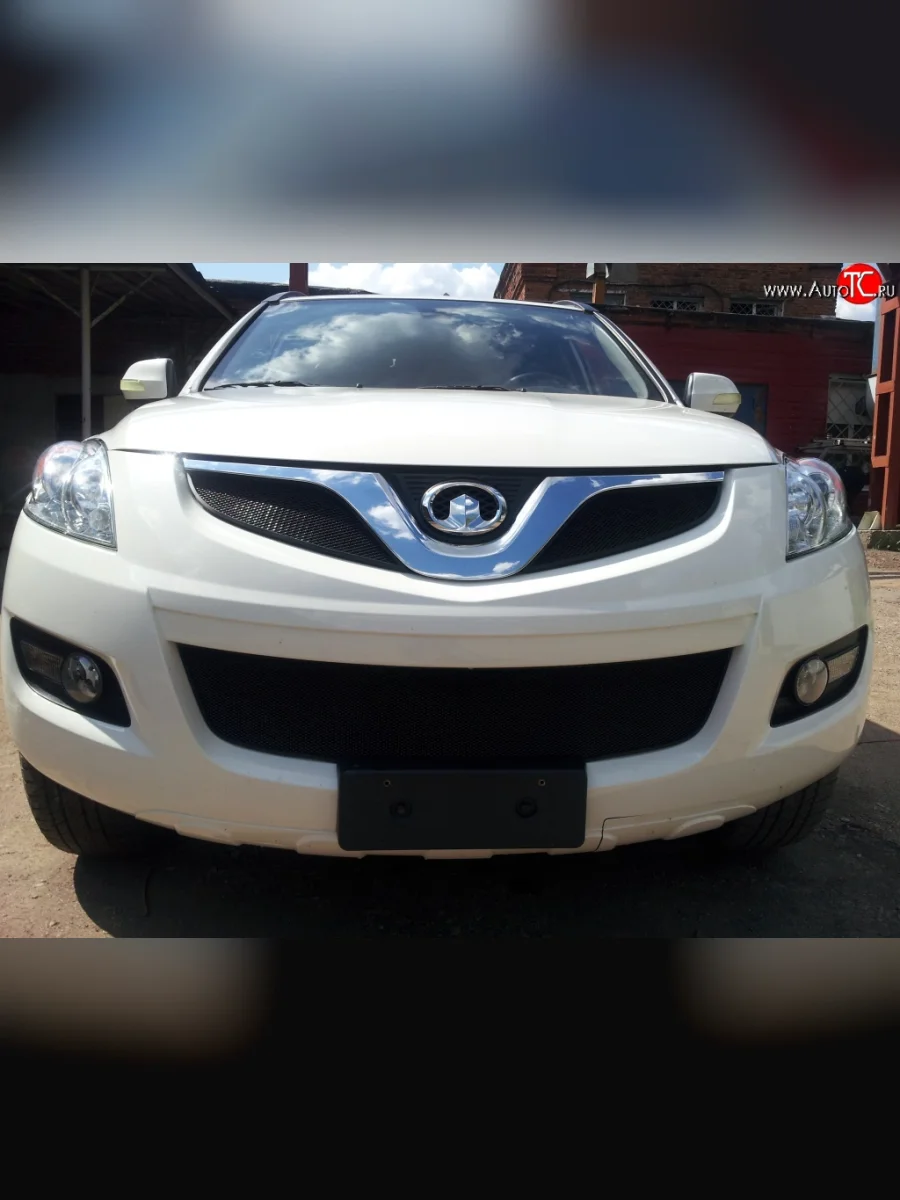 Сетка в решетку радиатора Russtal Great Wall Hover H5 (2010-2017) (черная)  с доставкой в г. Керчь