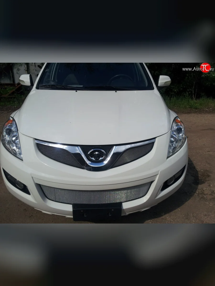 Сетка в решетку радиатора Russtal Great Wall Hover H5 (2010-2017) (хром)  с доставкой в г. Керчь