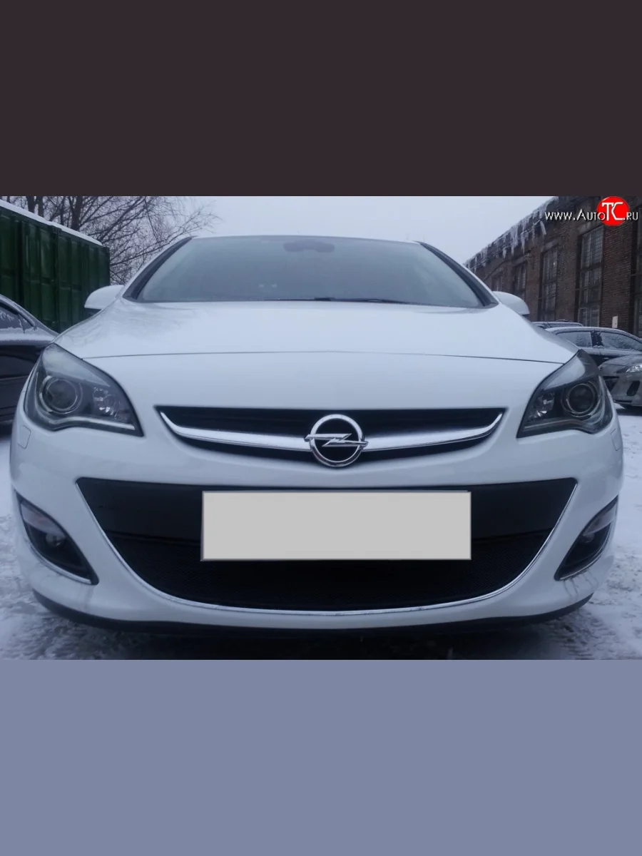 Сетка на бампер Russtal (черная) Opel Astra J хэтчбек 5 дв.  рестайлинг (2012-2017)  в Перми Пермском крае