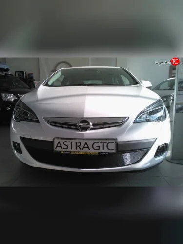 Сетка на бампер GTC Russtal (черная) Opel Astra J хэтчбек 5 дв. дорестайлинг (2009-2012)