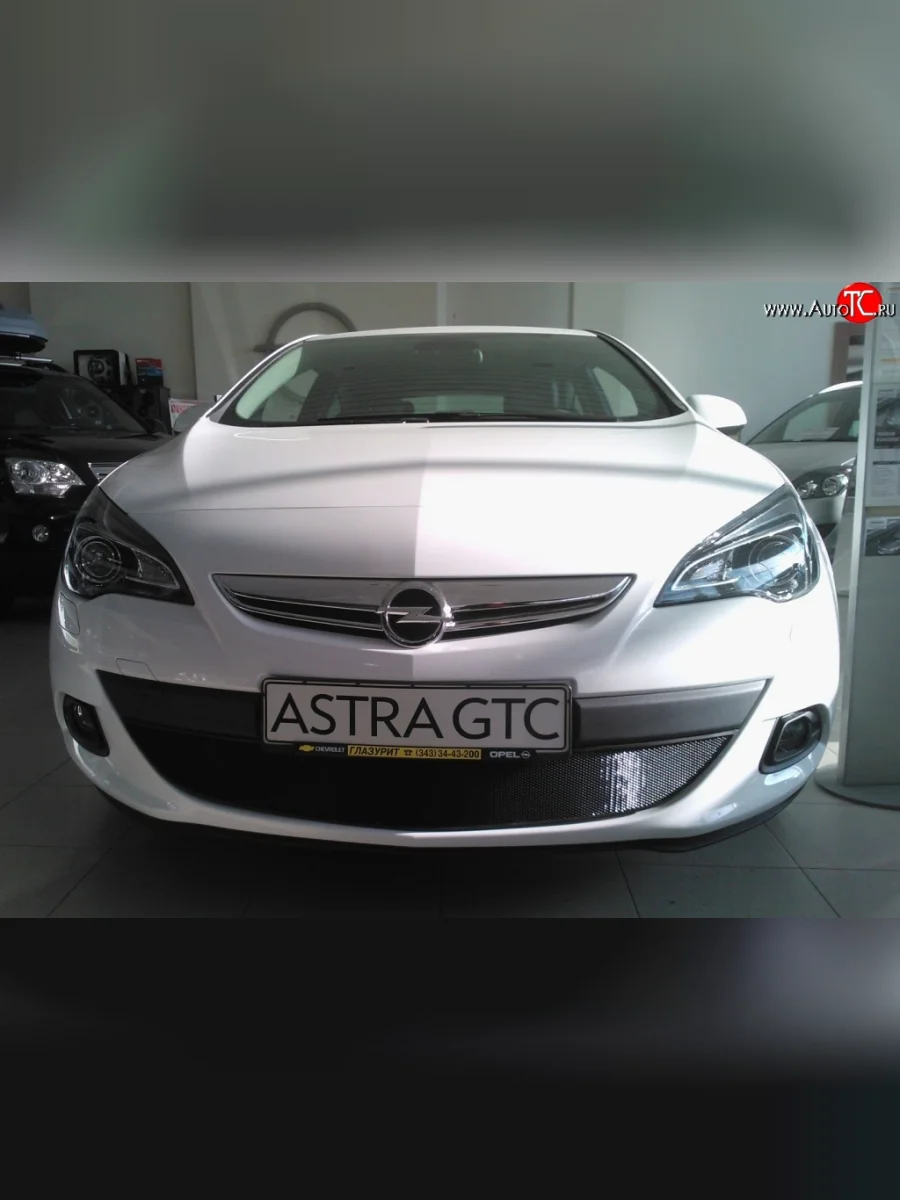 Сетка на бампер GTC Russtal (черная) Opel Astra J хэтчбек 5 дв. дорестайлинг (2009-2012)  в Самаре Самарской области