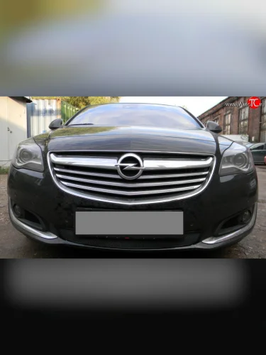 Сетка на бампер (рестайлинг) Russtal (черная) Opel Insignia A рестайлинг седан (2013-2017)