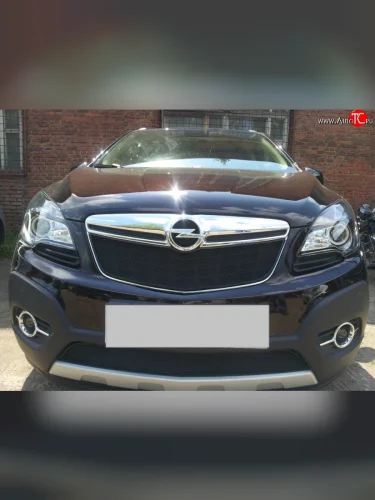 Сетка в решетку радиатора Russtal (черная) Opel Mokka  дорестайлинг (2012-2016)