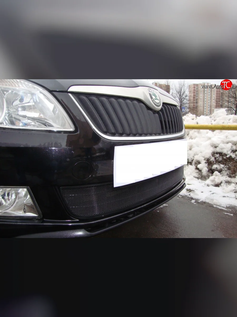 Сетка на бампер (рестайлинг) Russtal (черная) Skoda Fabia Mk2 универсал дорестайлинг (2007-2010)  в Керчи Республика Крым